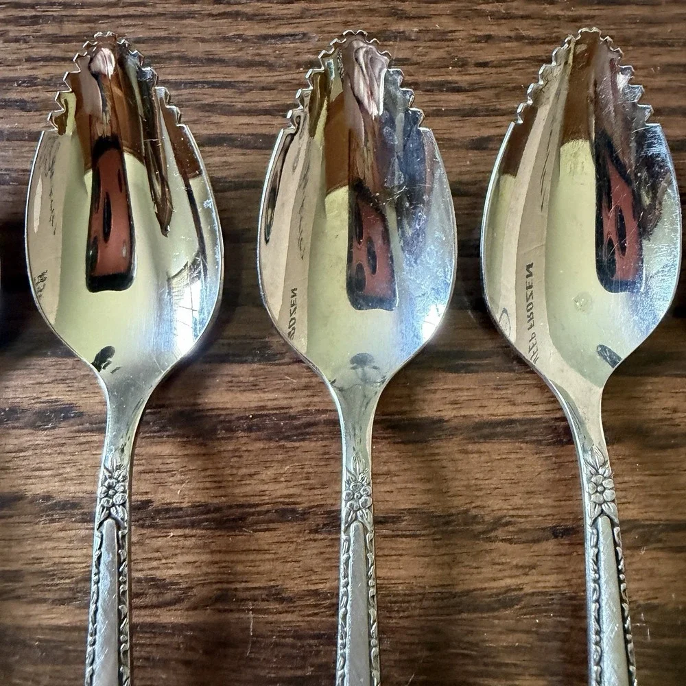 Oneida Community VIA ROMA Fruit/Orange Spoons Stainless Flatware Set Of 5
